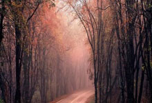 记者：劳塔罗离开阿根廷训练营，可能缺战乌迪内斯和AC米兰.：开云官网