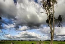 [图]足总杯-哈兰德破门+失点+伤退 曼城2-1伯恩茅斯.