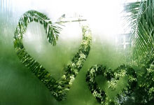 [图]足总杯-哈兰德破门+失点+伤退 曼城2-1伯恩茅斯.