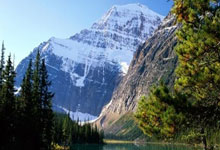 队内人士：曾经的马莱莱回来了，若他全能就不止现在的身价了.