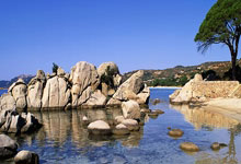 记者：劳塔罗离开阿根廷训练营，可能缺战乌迪内斯和AC米兰.：开云官网